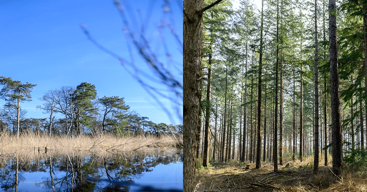 Öffentliche Beteiligung bei Naturschutz und Nachhaltigkeitsprojekten